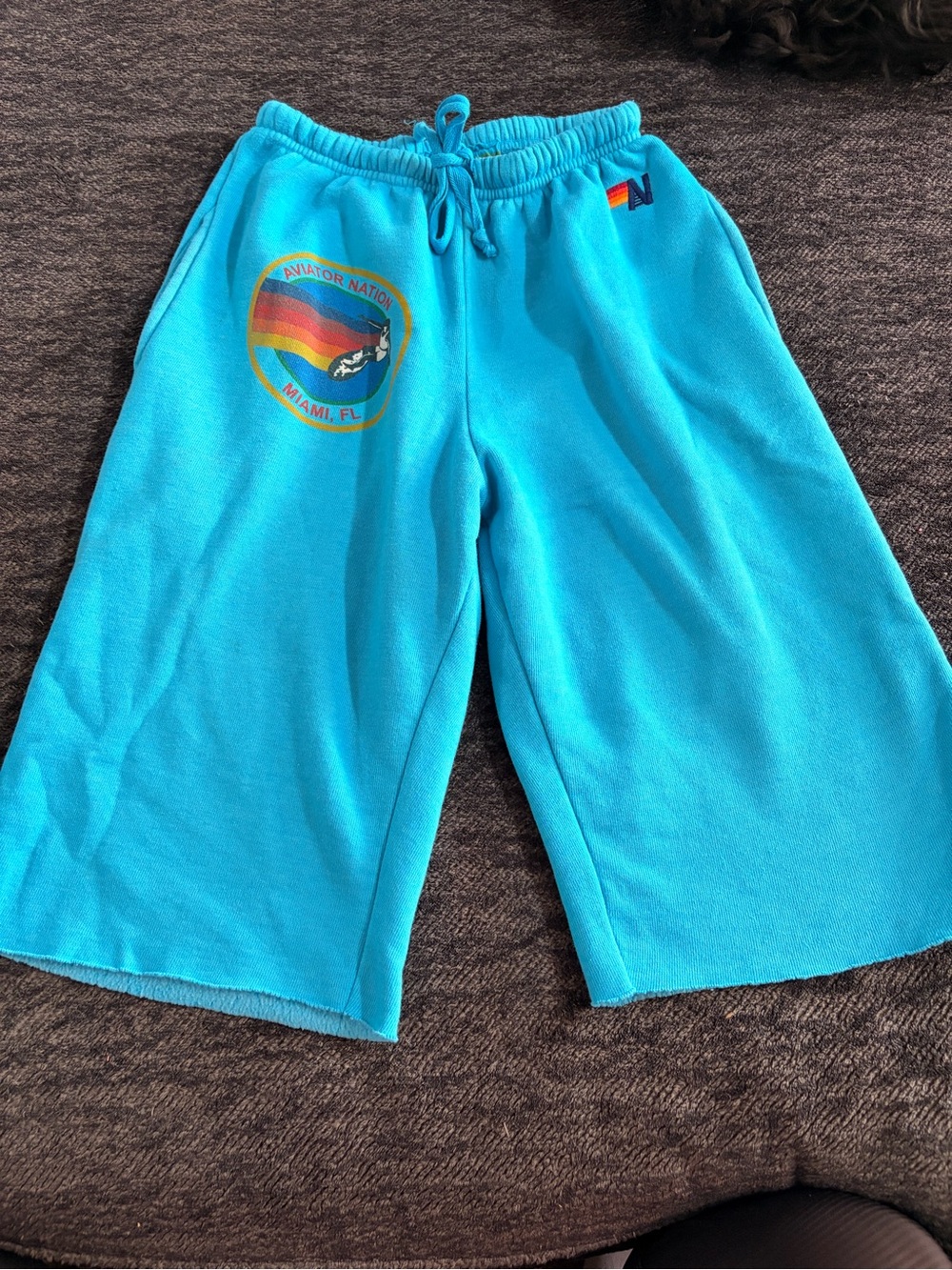 Aviator Nation Teal Wide-Leg Sweatshorts